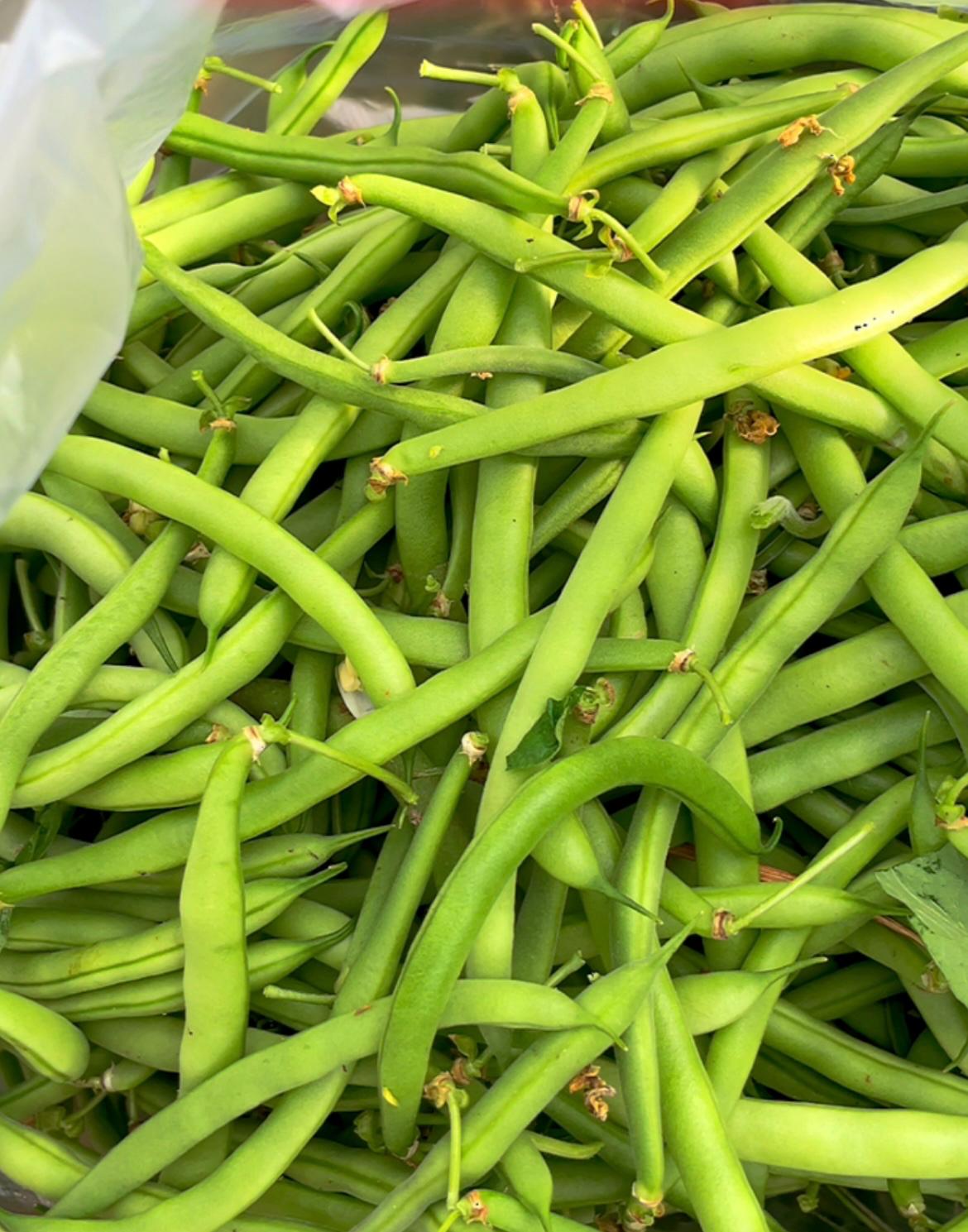 GREEN BEAN